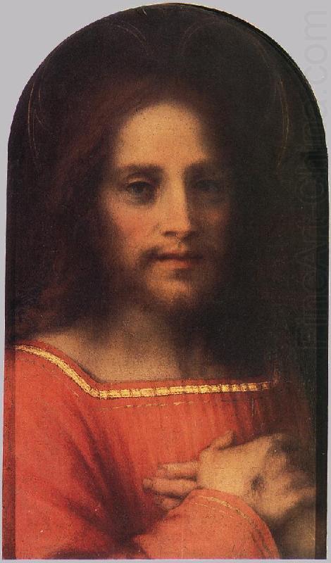 Christ the Redeemer ff, Andrea del Sarto